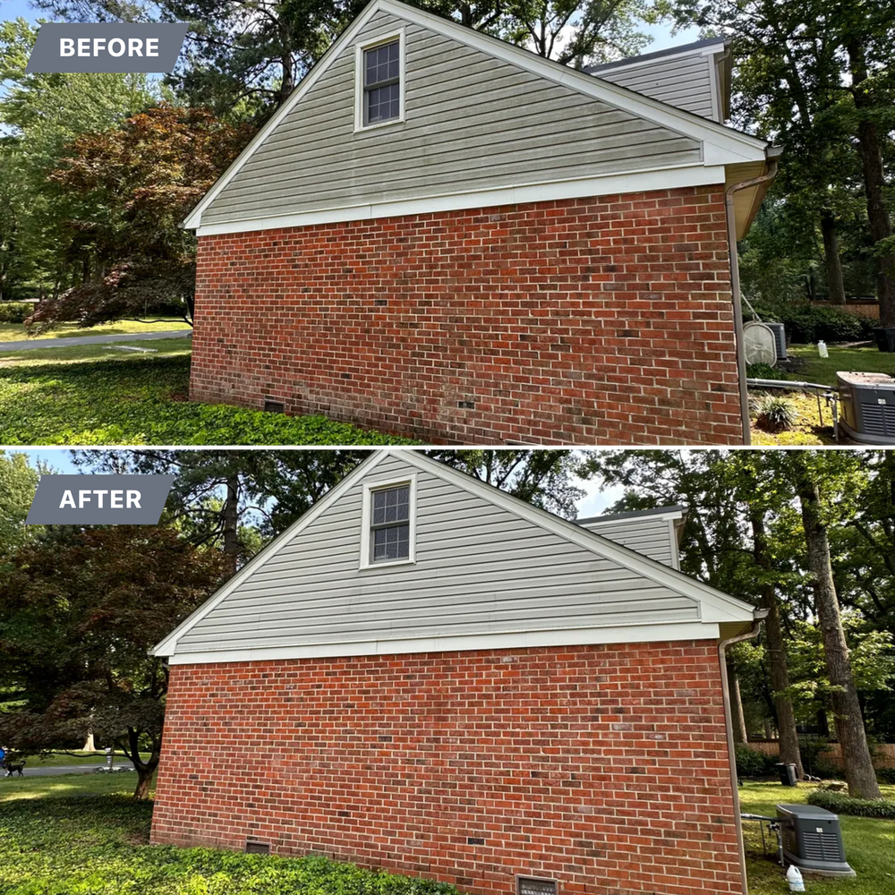 All Photos for LeafTide Solutions in Richmond, VA