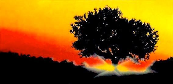 All Photos for Oak Tree Construction in Thousand Oaks, CA