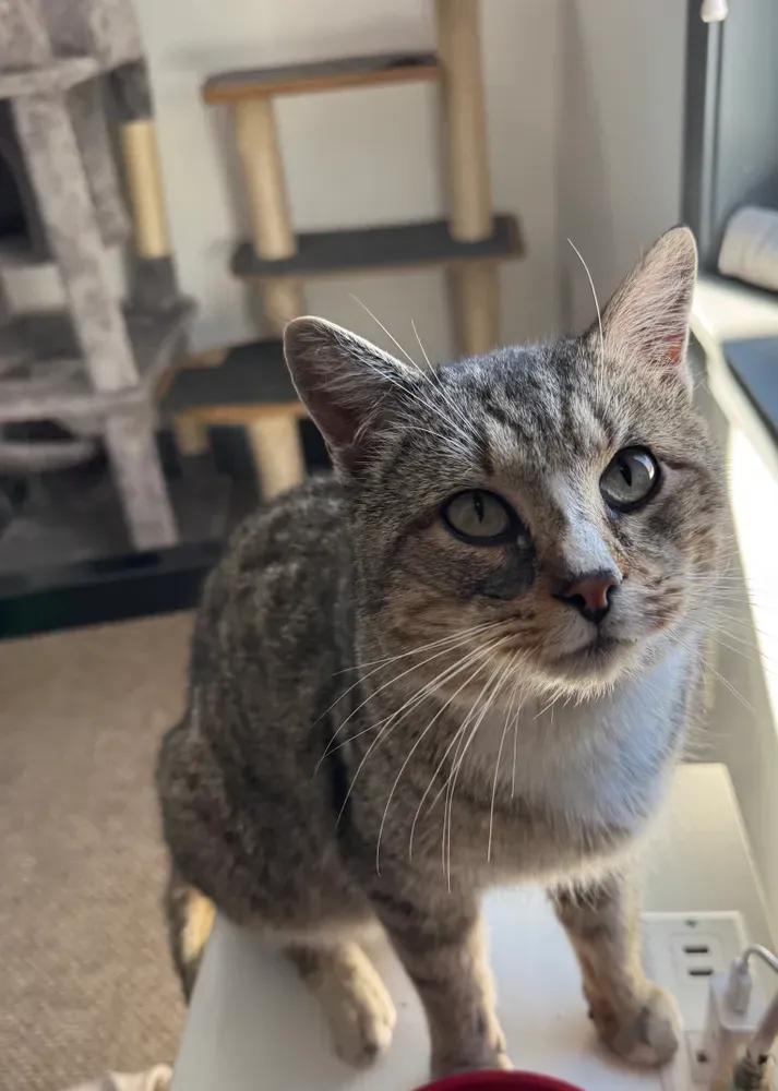 All Photos for Sullivan Sanctuary of Maine in Brunswick, ME