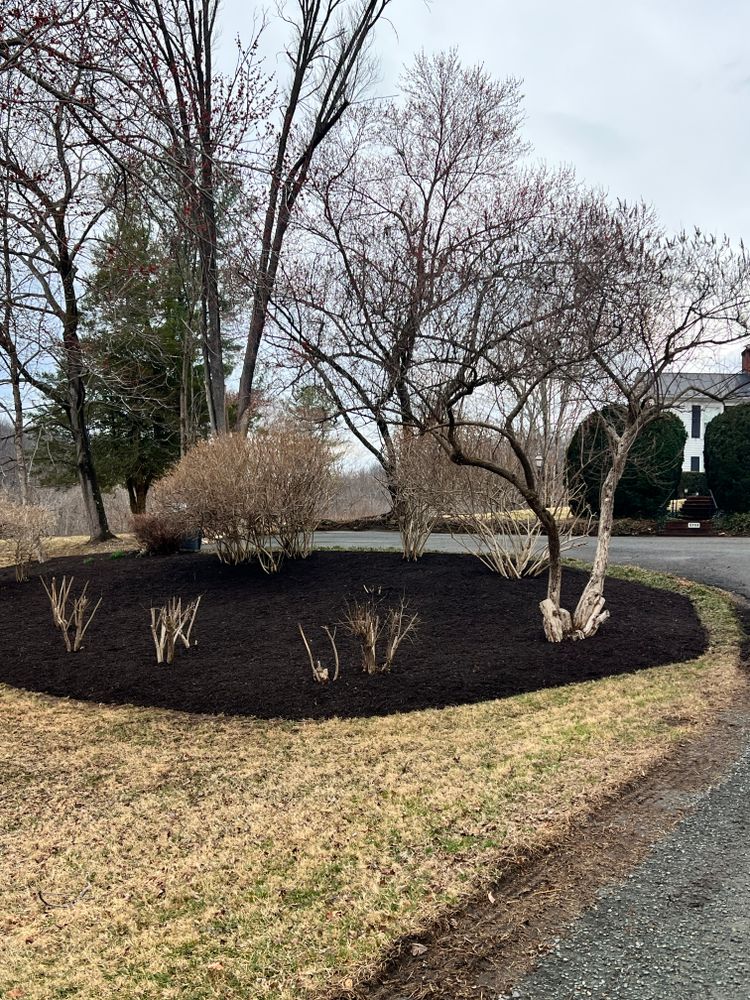 All Photos for Valencia’s Lawncare in Charlottesville, VA