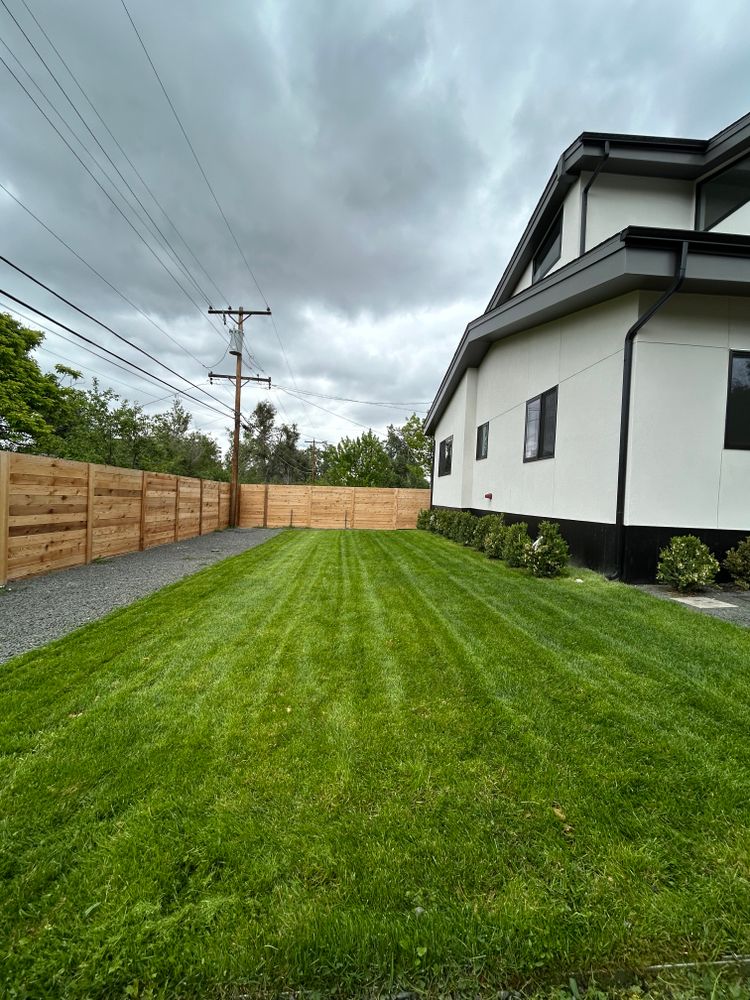 Lawn Care for Denver Bros Lawn Control in Denver, CO