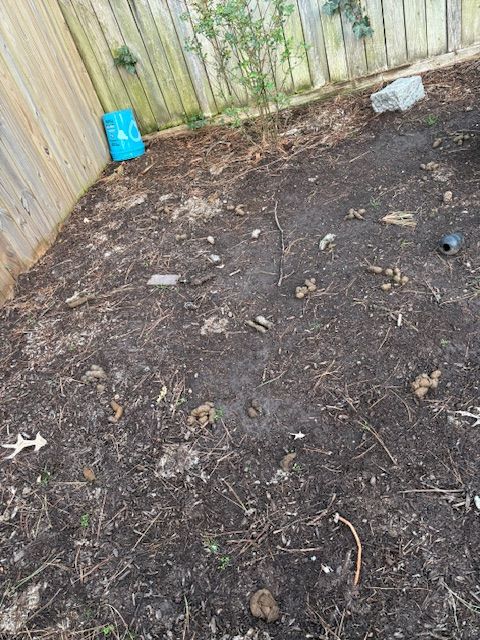 All Photos for River City Scoopers in Midlothian, VA