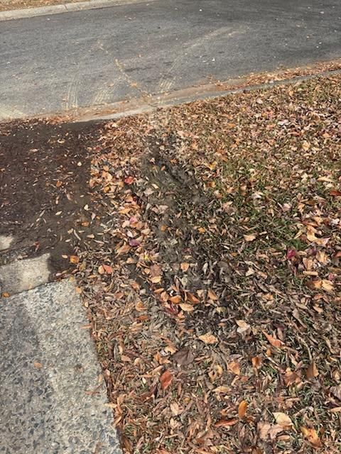 All Photos for Drain My lawn in Charlotte, NC