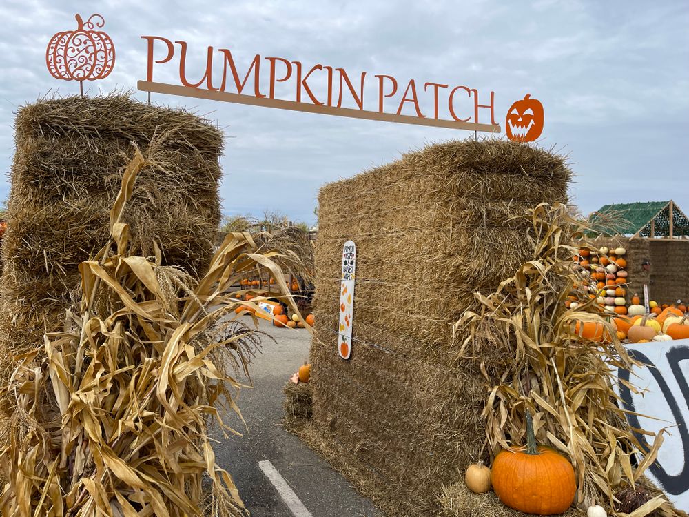 All Photos for Fusion Welding in Pierz, MN