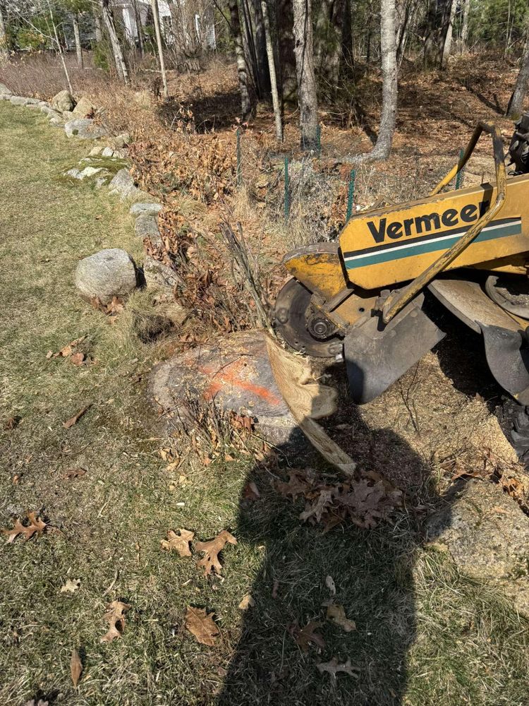 All Photos for Dwights Tree Service LLC in Middleborough, MA