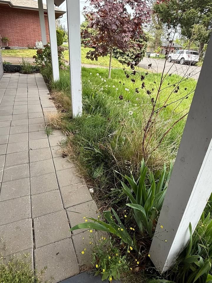 All Photos for B.U Landscaping in Everett, WA