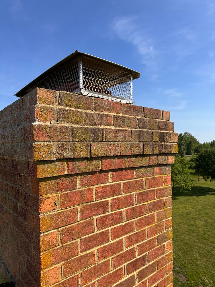 All Photos for LeafTide Solutions in Richmond, VA