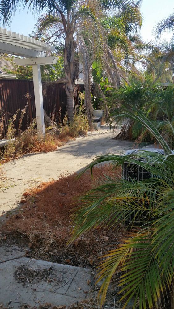 All Photos for Regalado Landscape in Antioch, CA
