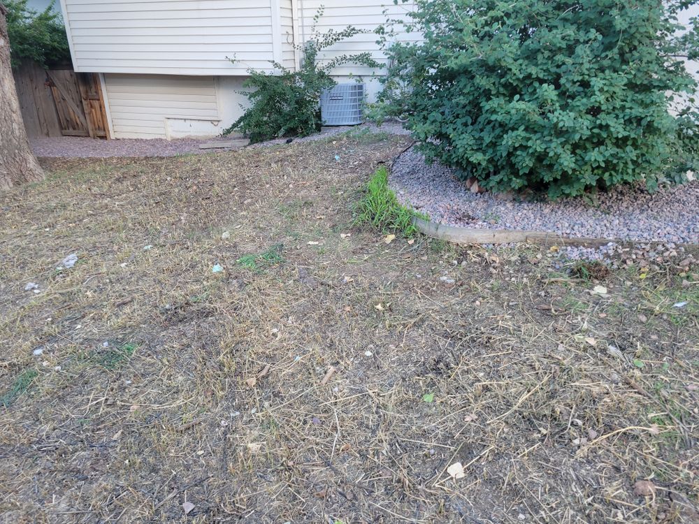 All Photos for JS Landscaping Colorado in Denver, CO