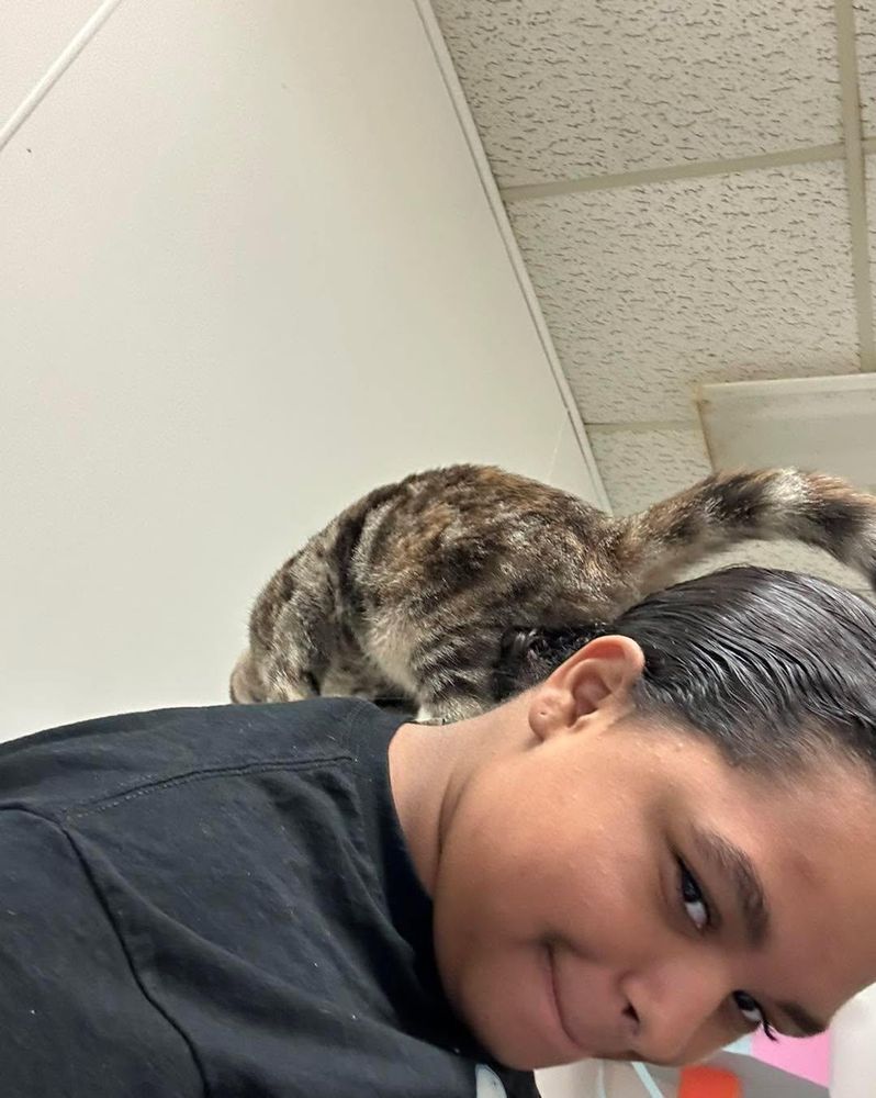 All Photos for Soapy Suds Services Georgia in Perry, GA