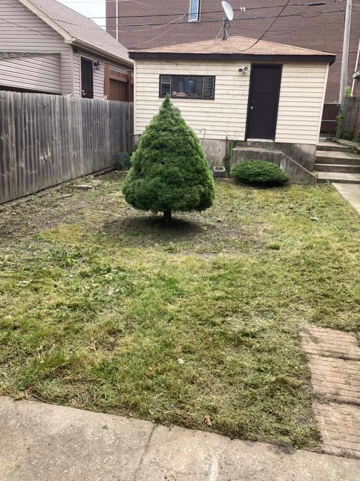 Landscaping for Superior Lawn Care & Snow Removal LLC  in Chicago, IL