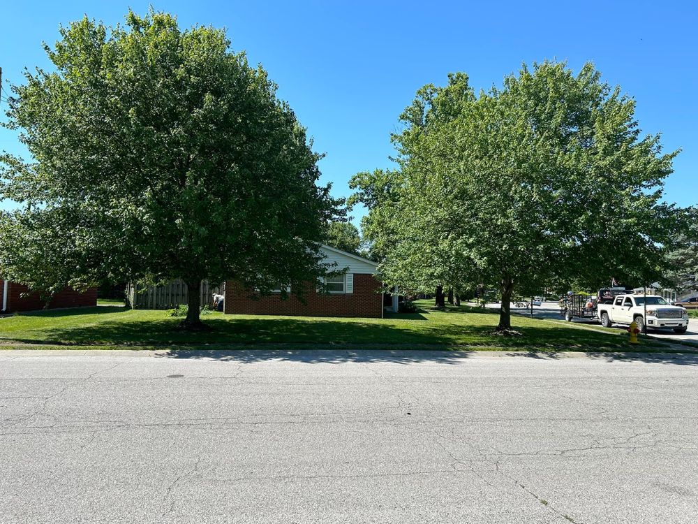 All Photos for Bearforce Lawn Care LLC in Greenfield, IN