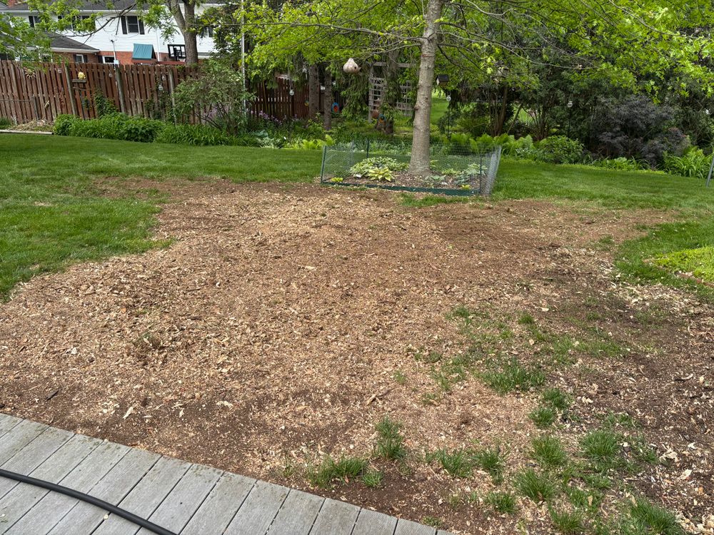 All Photos for Conrad's Stump Removal in Columbus, IN