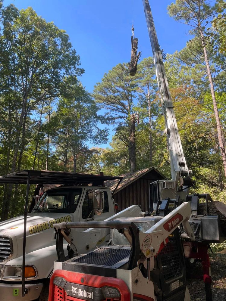 Enhance your home's curb appeal with our professional shrub trimming service, designed to maintain healthy growth, shape perfection, and promote lush greenery for a beautifully manicured landscape throughout the year. for J&J Tree Services in Raleigh, NC