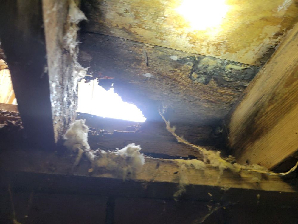 All Photos for GVL Renovations in Greenville, SC