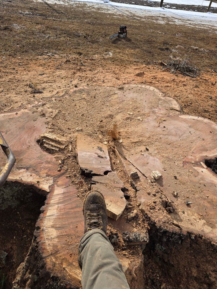 All Photos for Smith Tree Experts in Palmyra, VA