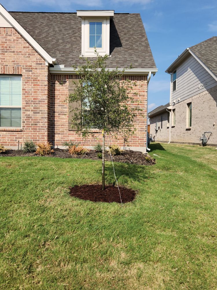 All Photos for Paquito's Landscaping in Ellis County, TX