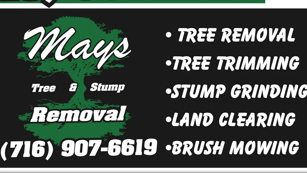 Tree Services for Mays Tree and Stump Removal in Alden, NY