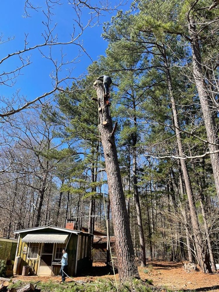 Tree Services for Rosales Landscaping LLC in Lake Gaston, North Carolina