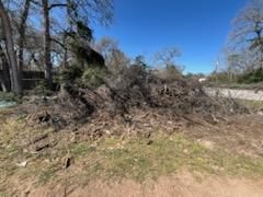 All Photos for Oviedo Land & Garden in Bastrop, TX