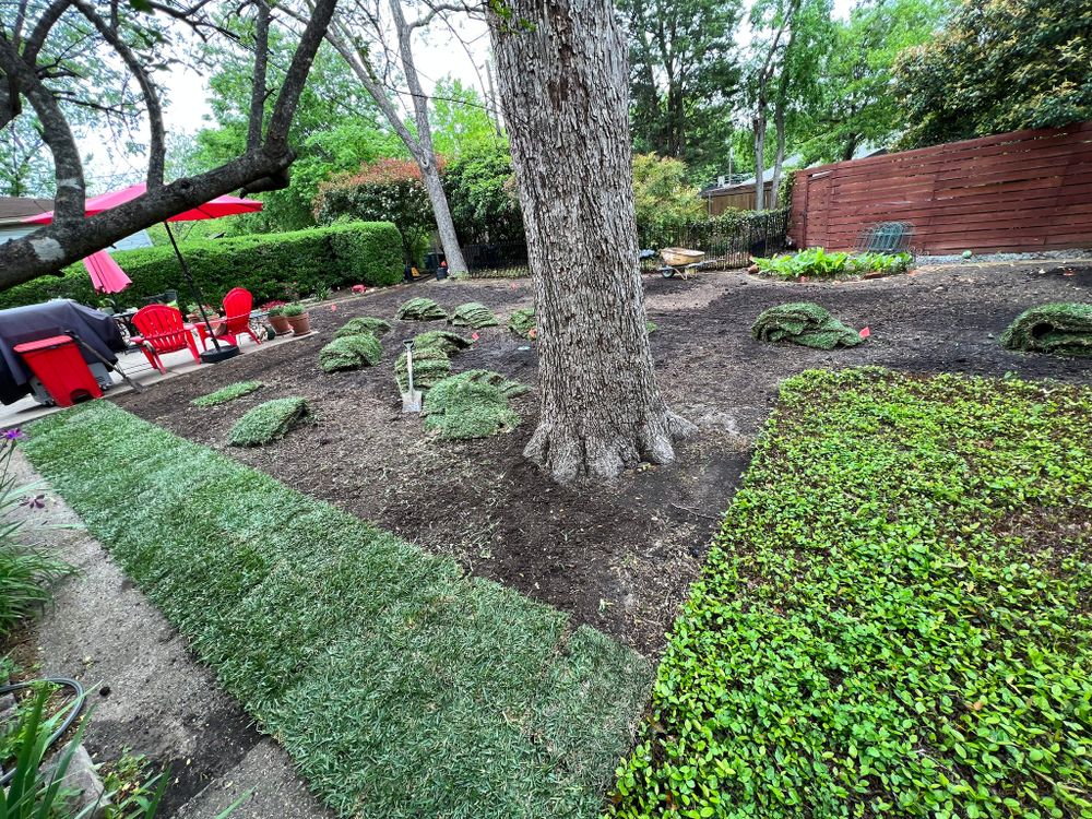 All Photos for Cortez Landscaping Services in Mesquite, TX