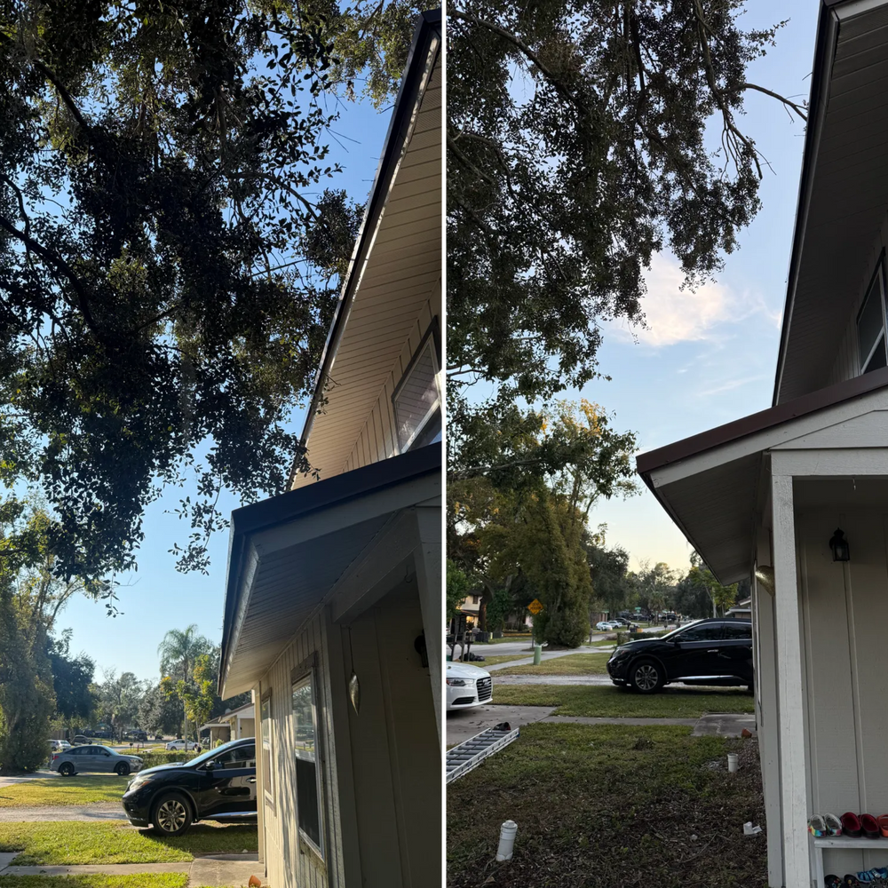 All Photos for Amerigrown Tree And Lawn in Apopka, FL