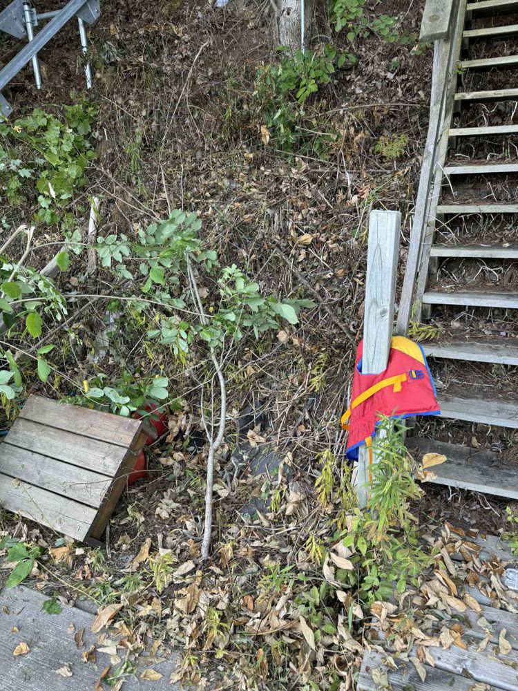 All Photos for Daugherty's Tough Lawn Care in Essexville, MI