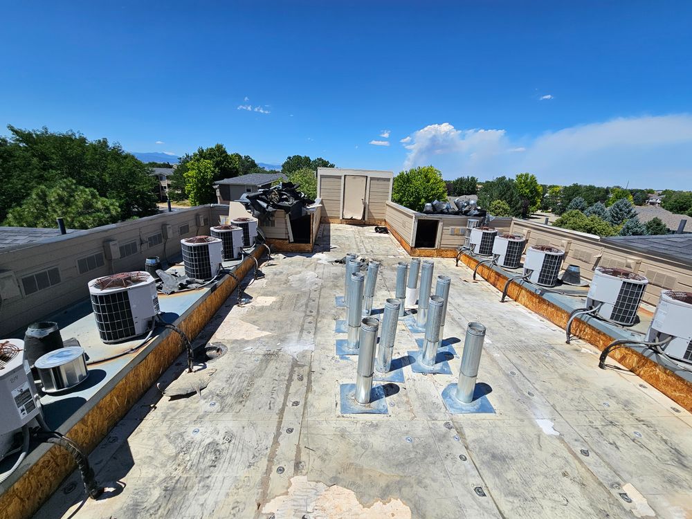 All Photos for Distinctive Home Renovations in Longmont, CO