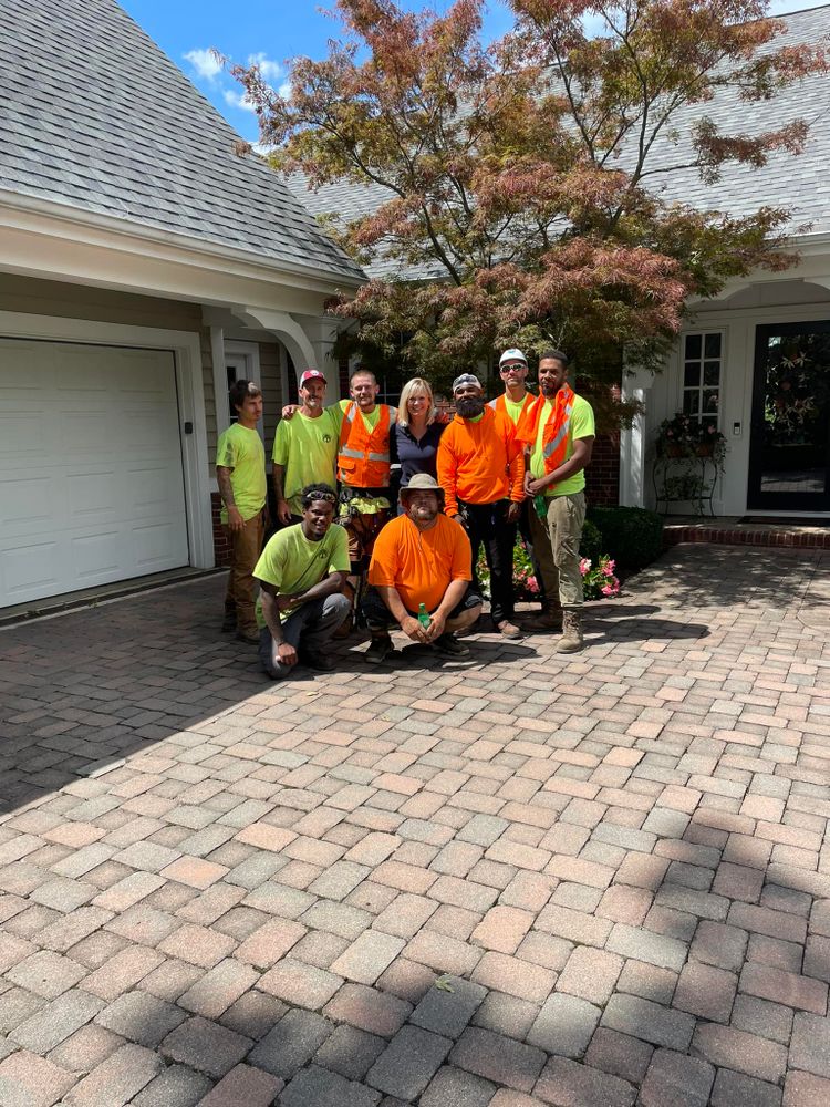 Tree Removal for General State Property Maintenance in New Haven, IN