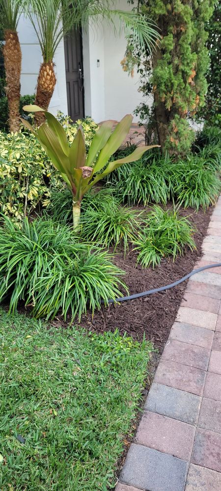 All Photos for L & J Palm Tree & Lawn Care Services in Jupiter, FL
