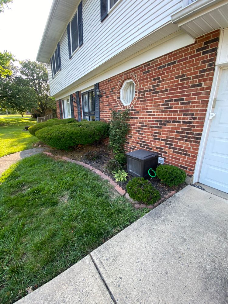 All Photos for Castle JR Landscaping & Painting LLC in Cincinnati, OH