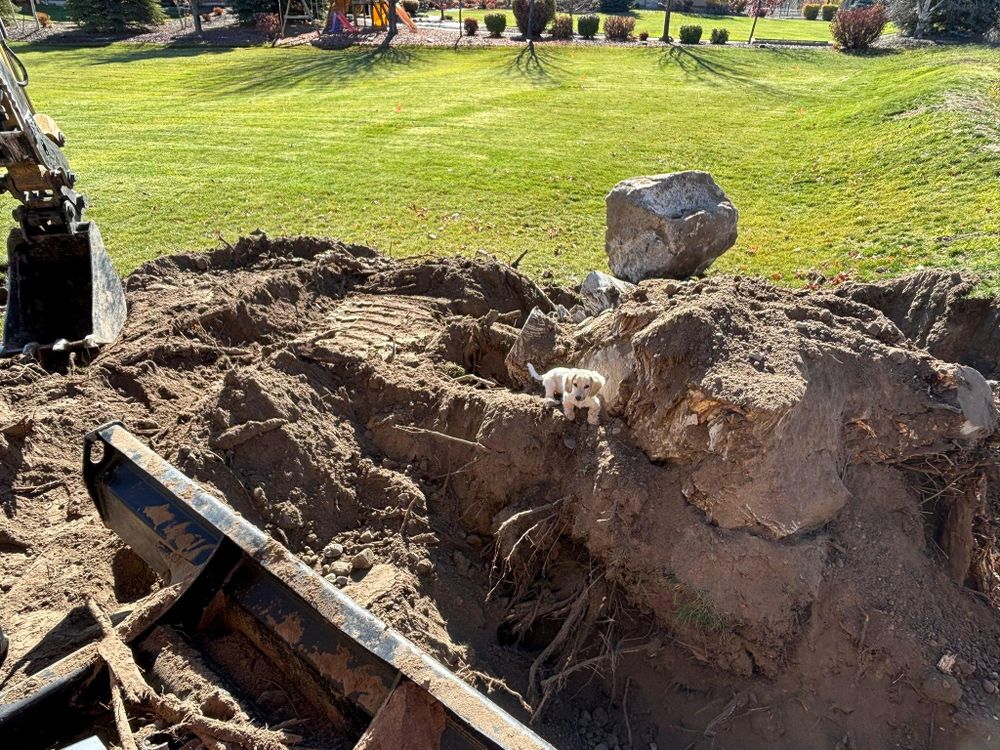 All Photos for Falls Property Services  in Idaho Falls, ID