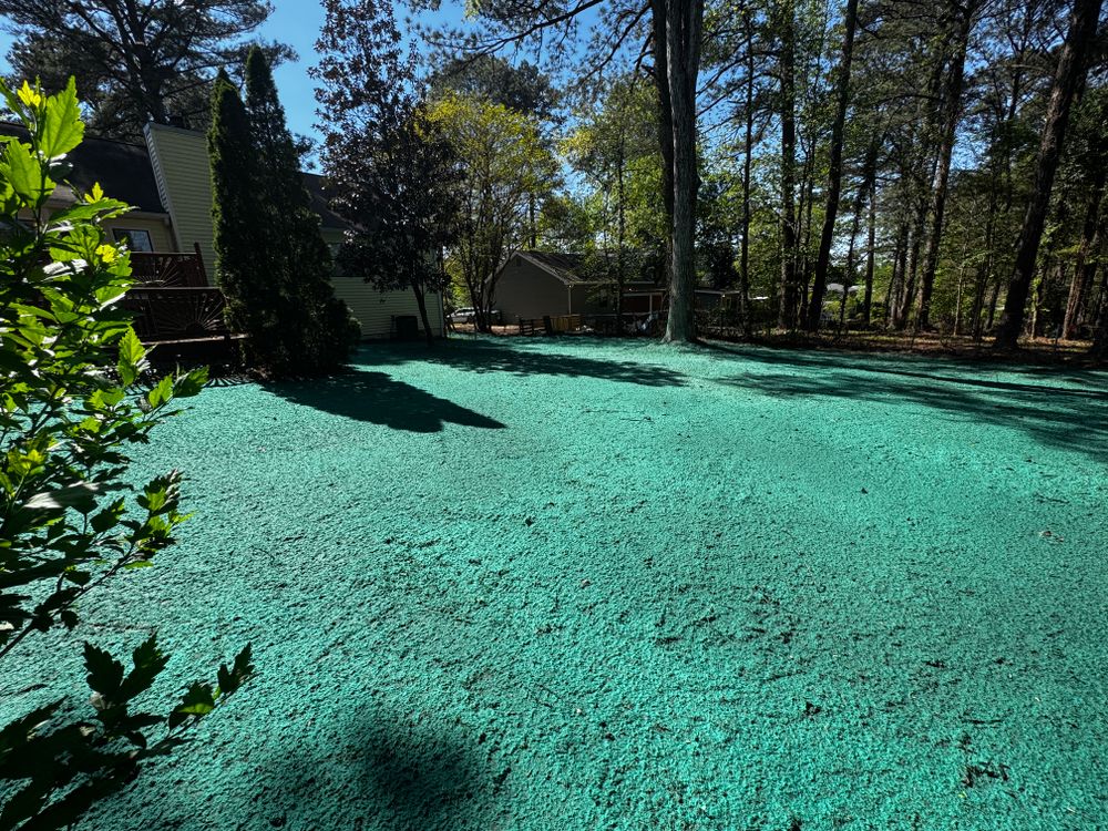 All Photos for Deeply Rooted Lawns – Hydroseeding & Sod Installation Services in Winder, GA