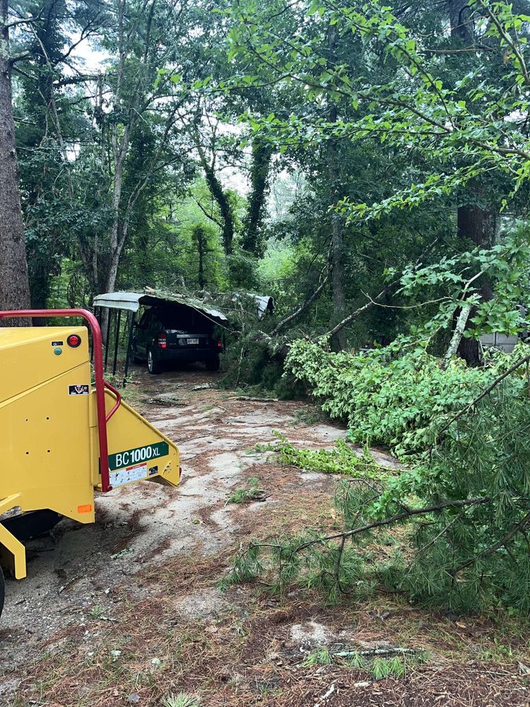 Storm Clean-up for Robery's Tree Service in West Wareham, MA
