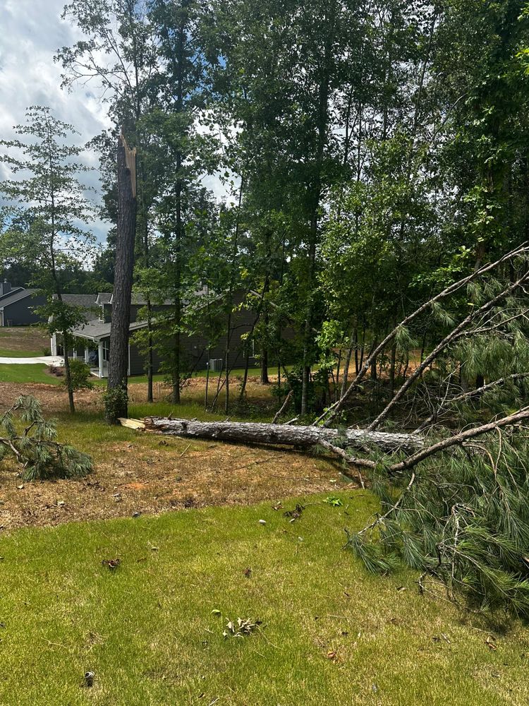 All Photos for Bulldawg Disaster Response in Atlanta, GA