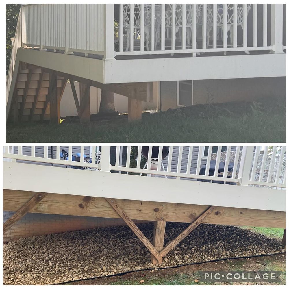 All Photos for Branch Out Tree Care LLC in Fredericksburg, VA
