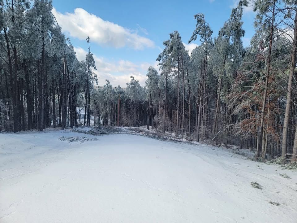 All Photos for Ross Family Tree Service LLC  in Hohenwald, TN