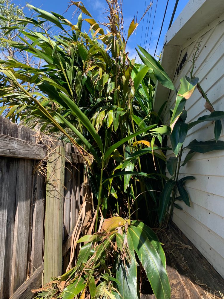 All Photos for Space Coast Property Maintenance and Management LLC in Melbourne, FL