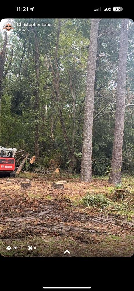 All Photos for Morace Tree Service in Natchez,,  MS