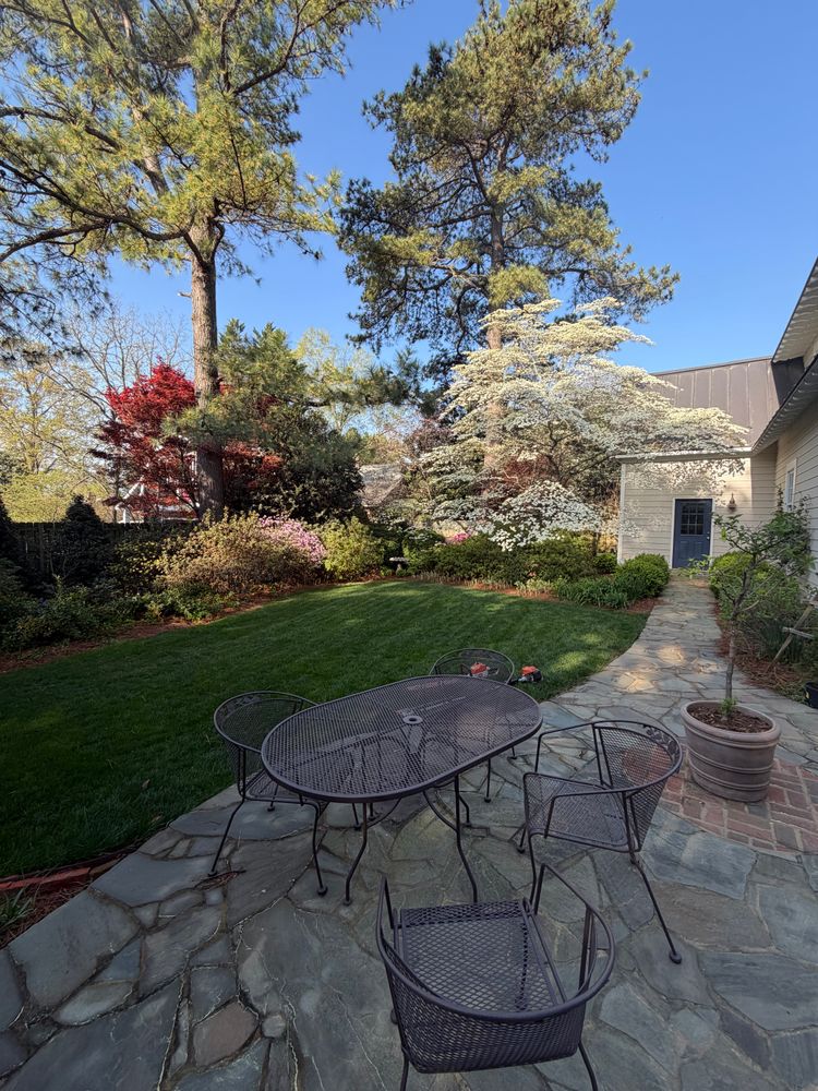 All Photos for Rawls Tree Care in Richmond, VA