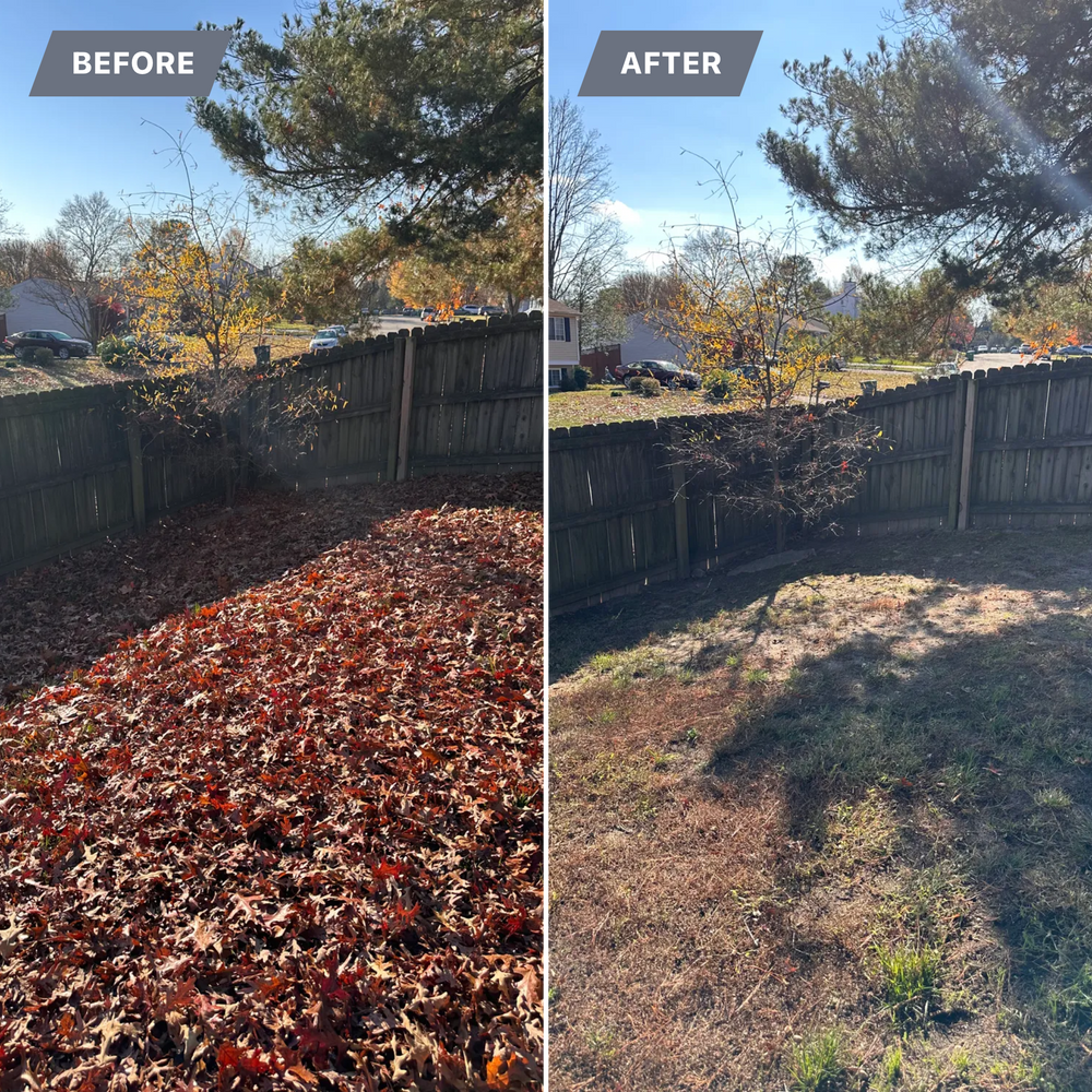 All Photos for LeafTide Solutions in Richmond, VA