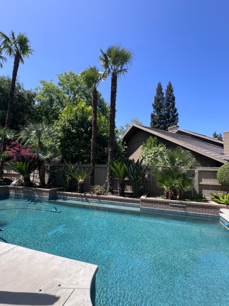 All Photos for Sammy's Tree Services in Rancho Cordova, CA