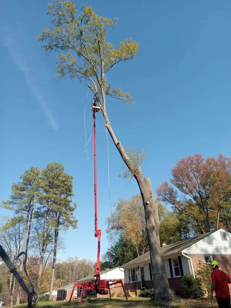 All Photos for Smith Tree Experts in Palmyra, VA
