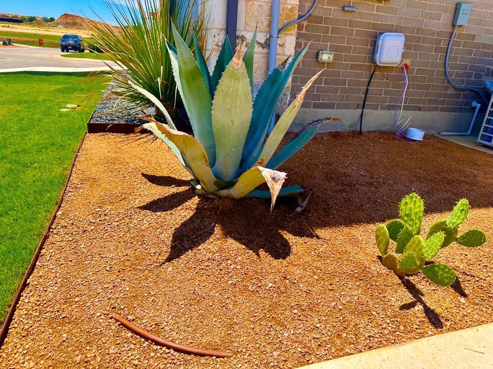 All Photos for Chavira Landscape & Irrigation in Austin, TX