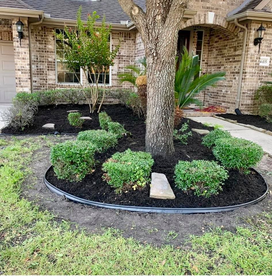 Landscaping for Del Real Landscape Contractors LLC in Del Rio, TX