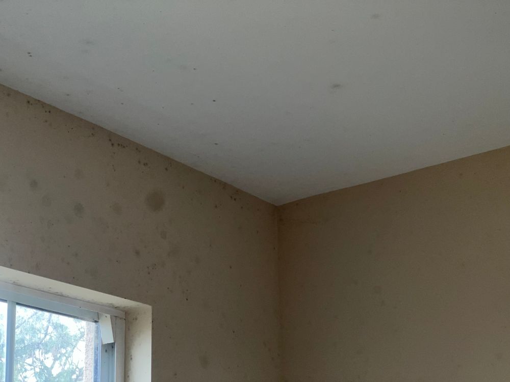 Mold Remediation for N&D Restoration Services When Disaster Attacks, We Come In in Cape Coral,  FL