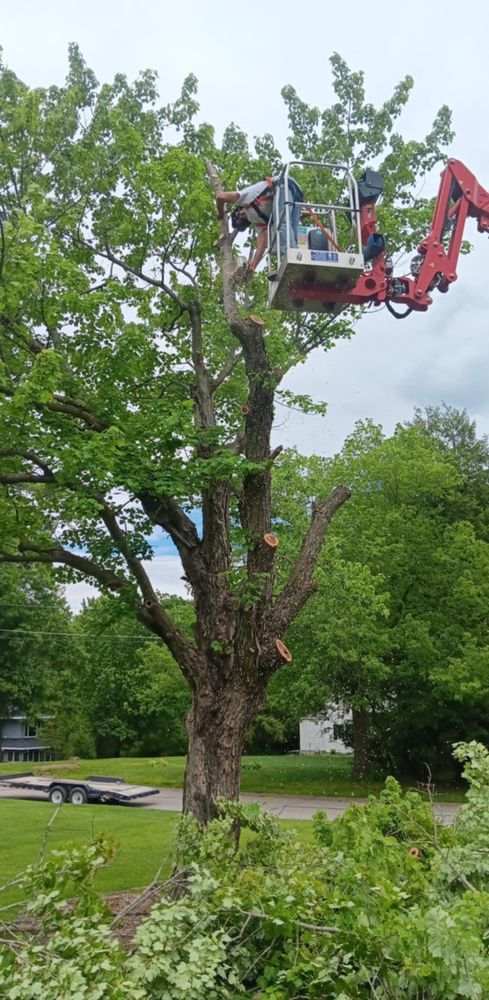 All Photos for Lawn Ranger Yard And Tree Service LLC in Ottumwa, IA