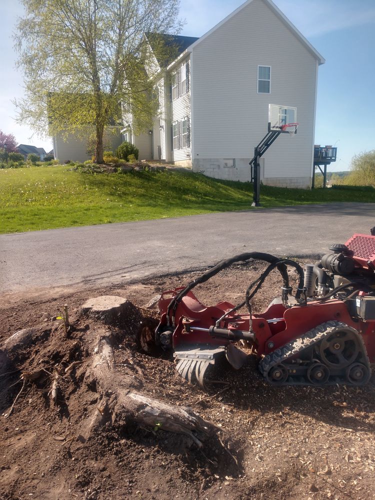 Stump Removal for TH Property Service, LLC in Manlius, NY