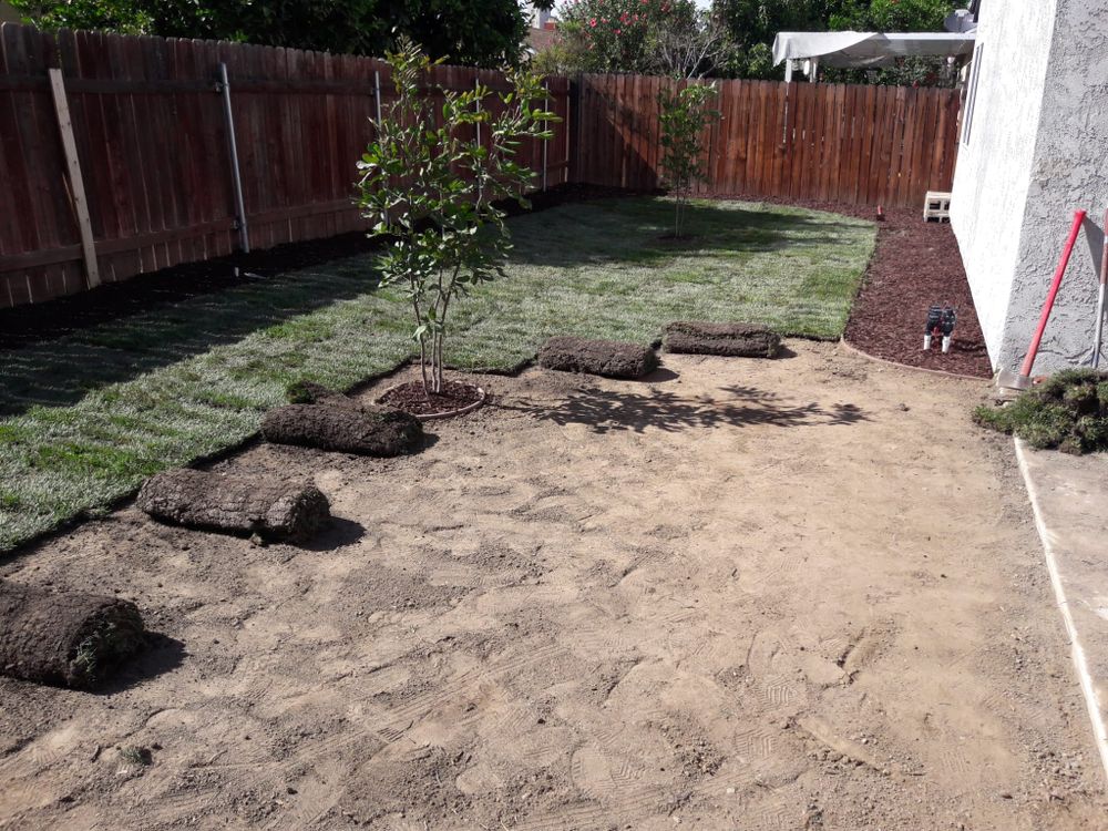All Photos for Best Lawncare in Colton, CA