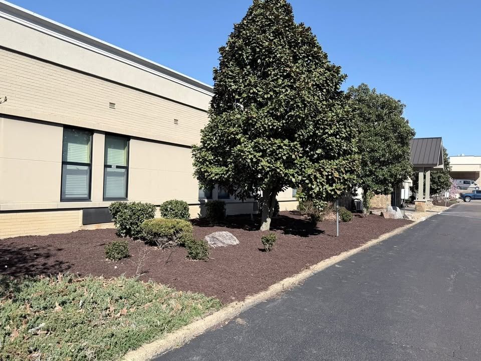 All Photos for Apex Lawn & Landscaping INC in Dyersburg, TN